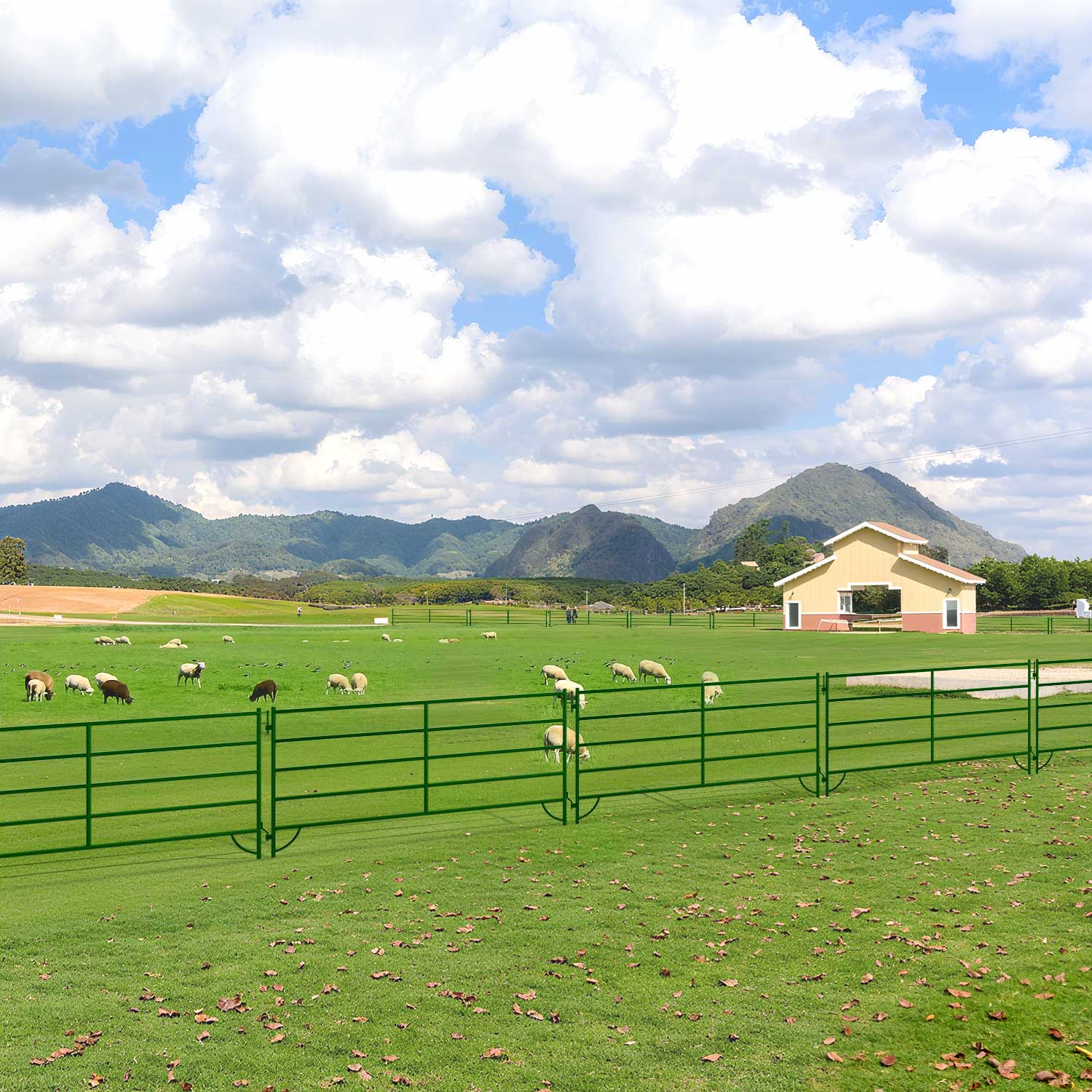 10x5 ft cattle panels used on a farm