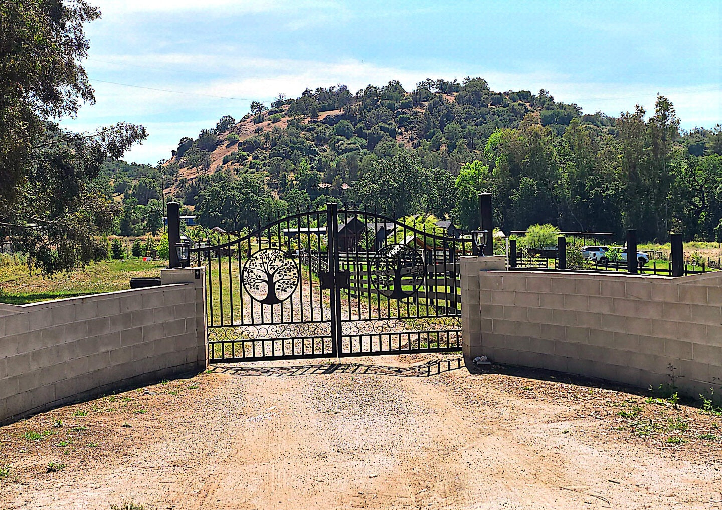 14x8 ft Steel Dual Swing Driveway Gate