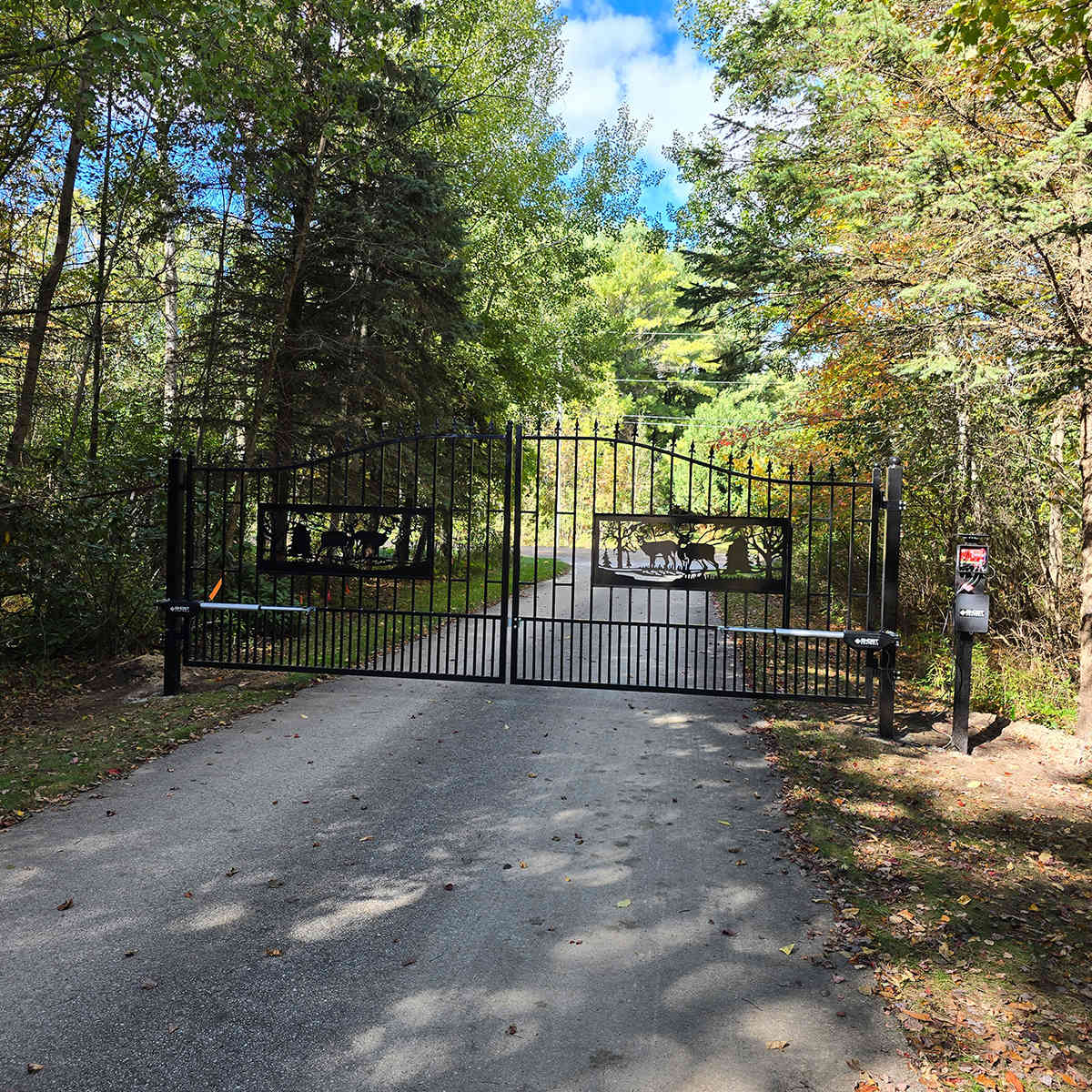 Black metal gate at the end of a driveway surrounded by trees