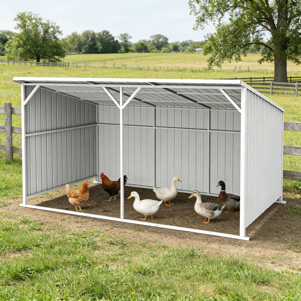 Metal chicken coop with chickens and ducks in a rural setting