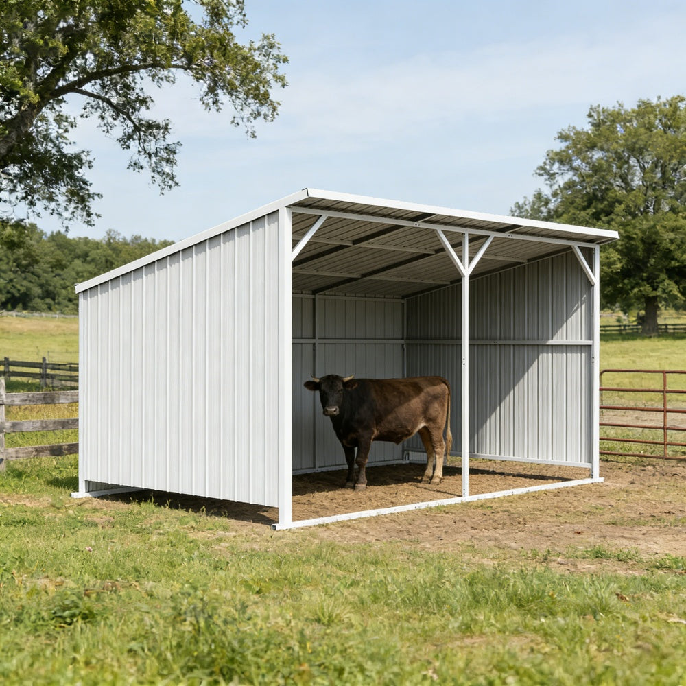 Cow standing inside a white metal shelter on a farm with trees and grass in the background.