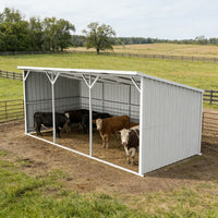 Metal livestock shelter with cows inside on a farm