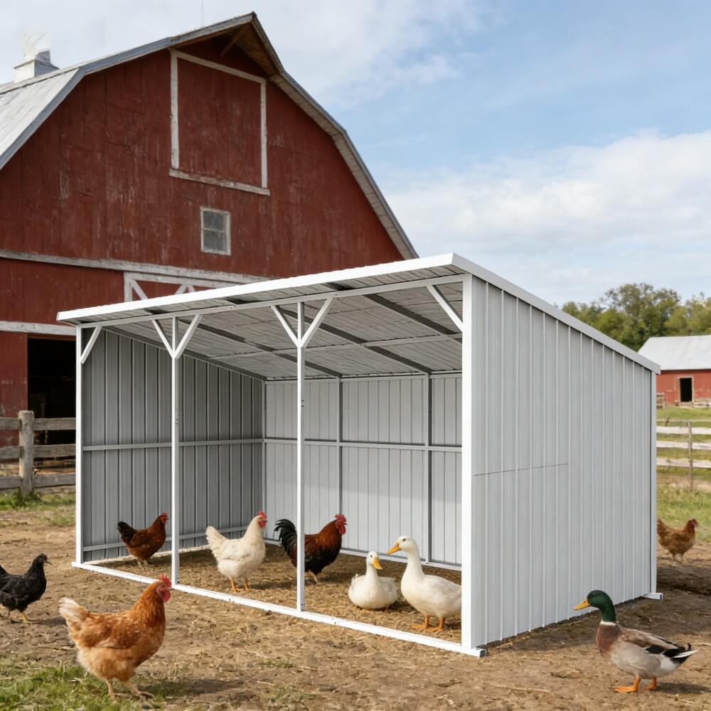 Chicken coop with chickens and ducks in front of a red barn