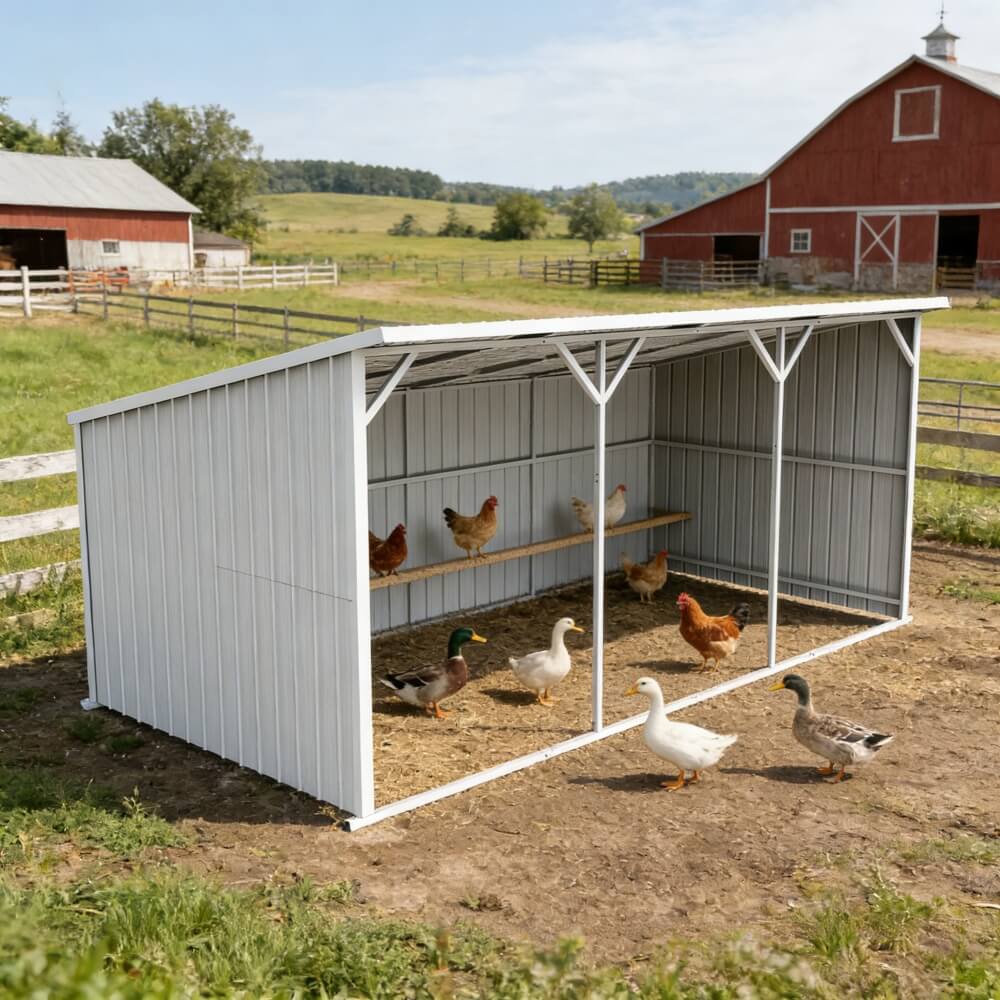 Chicken coop with chickens and ducks in a rural setting with a red barn.