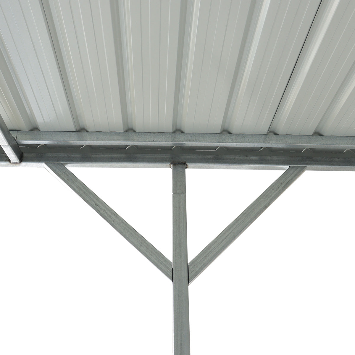 30'x12' Livestock Shelter for Horses & Cattle