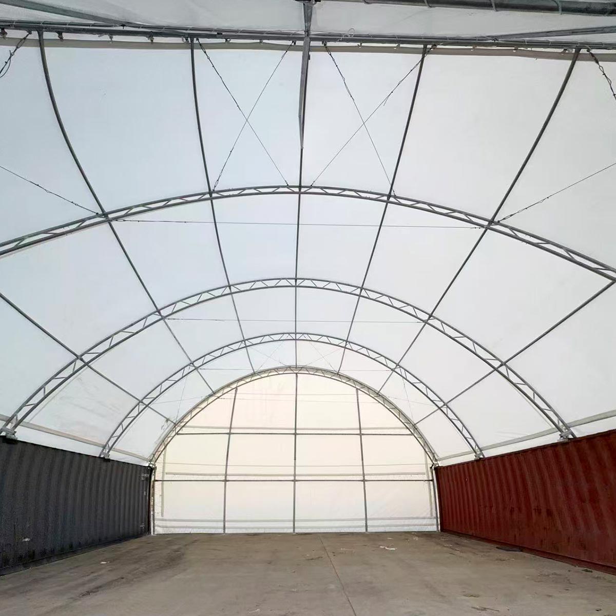 40ft Container Canopy Shelter with Back Wall
