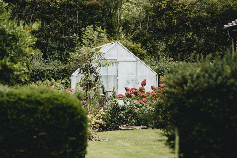 Chery Industrial 6x8ft Greenhouse in Garden