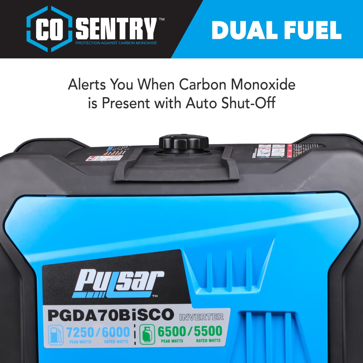 7250 Watt Dual-Fuel Inverter Generator with CO Sentry