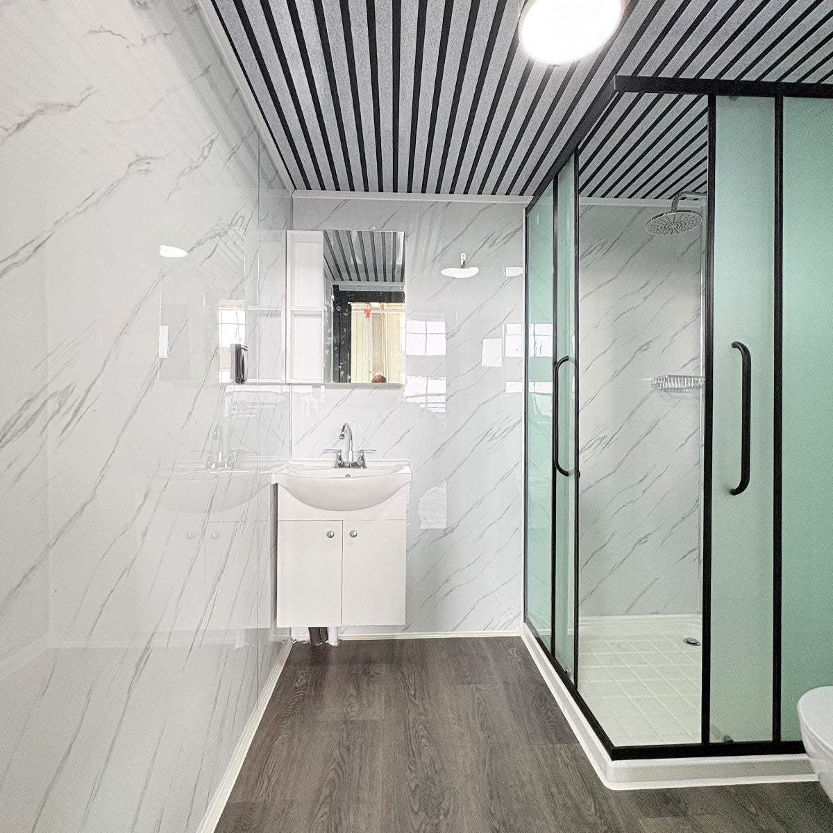 Deluxe Black Portable Toilet with Shower