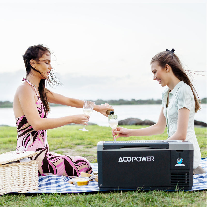 Reviews for ACOPower LiONCooler 52 Qt. Battery Powered Portable