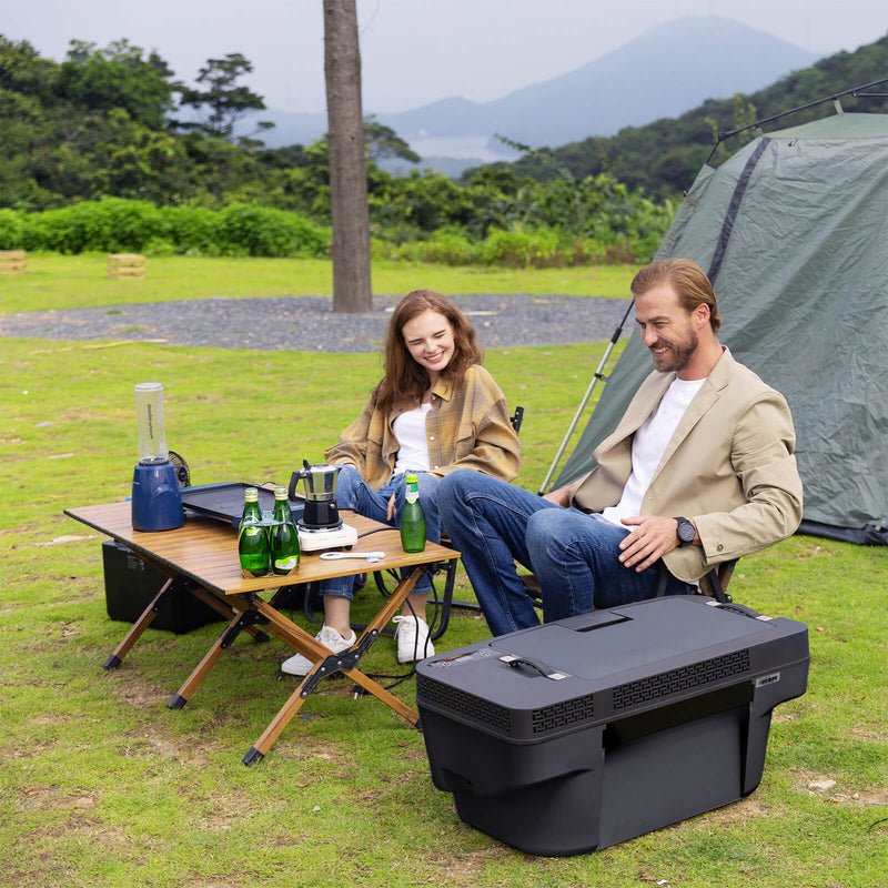 Portable freezer specially designed for Tesla Model Y