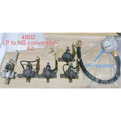 4B03 Propane to Natural Gas Conversion Accessories Kit