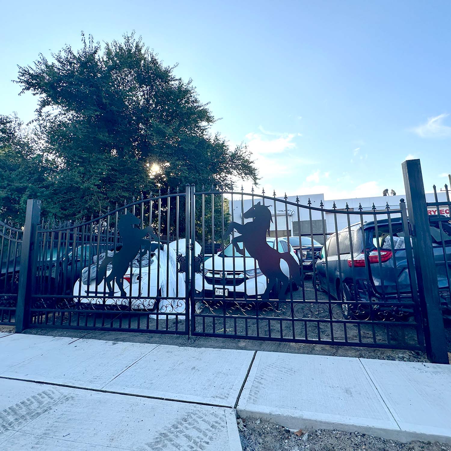 14x8 ft horse pattern steel dual swing driveway gate application 2