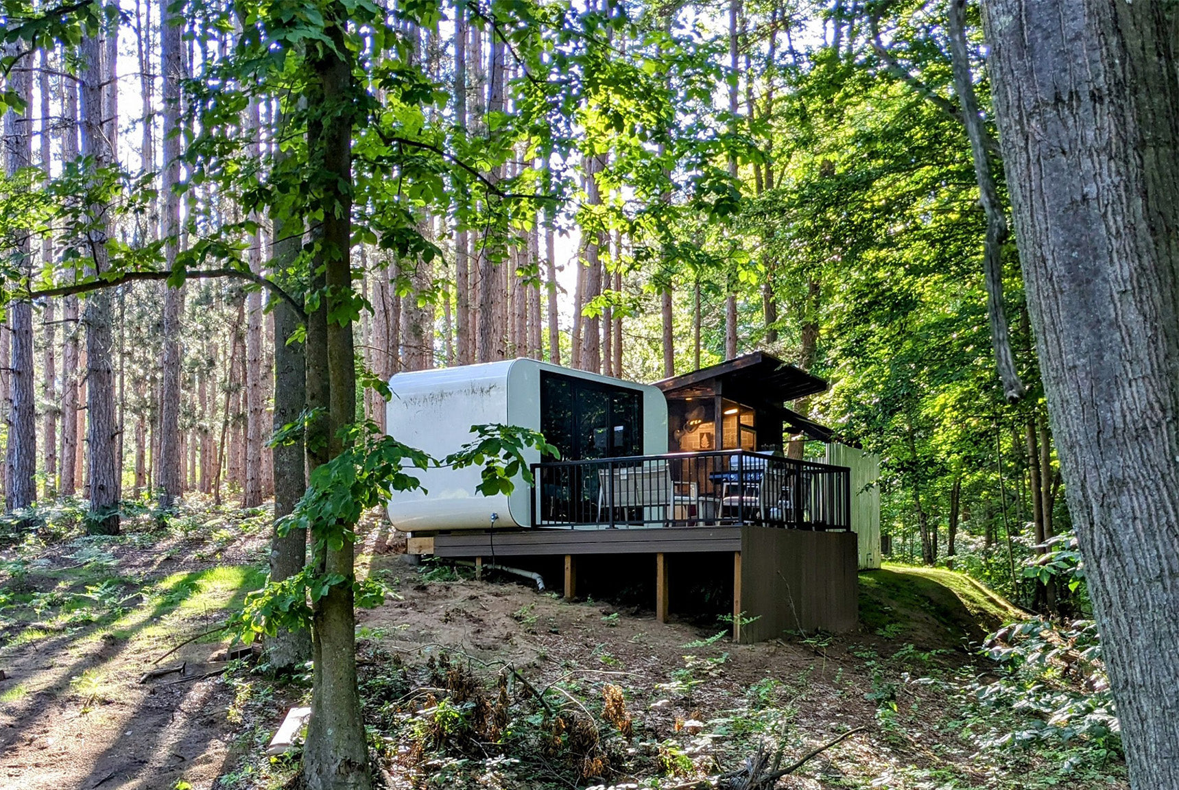 Our pod house is used in a forest