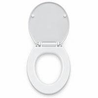 Toilet Seat & Lid Replacement