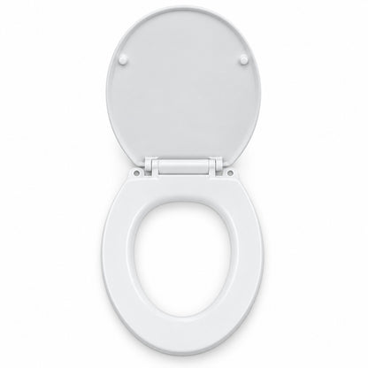Toilet Seat & Lid Replacement