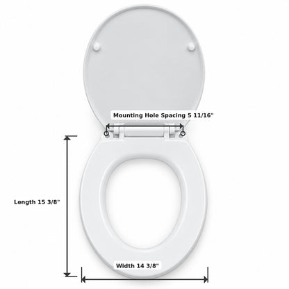 Toilet Seat & Lid Replacement